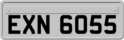 EXN6055