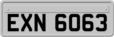 EXN6063