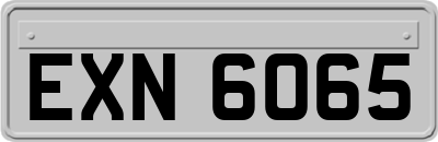 EXN6065