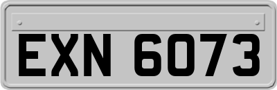 EXN6073