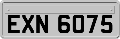 EXN6075