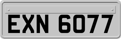 EXN6077