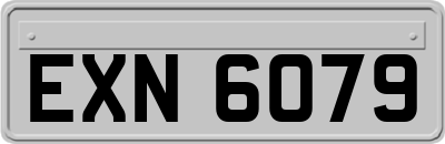 EXN6079