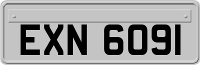 EXN6091