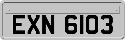 EXN6103