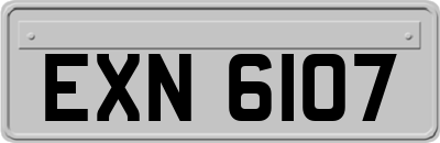 EXN6107