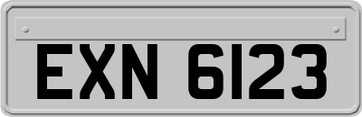 EXN6123