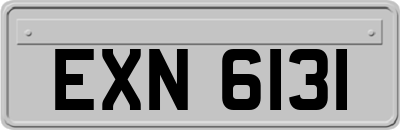 EXN6131