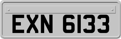 EXN6133