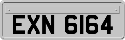 EXN6164