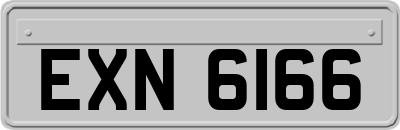 EXN6166