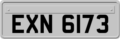 EXN6173