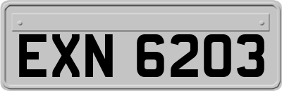 EXN6203