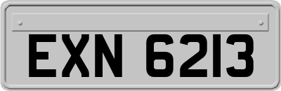 EXN6213