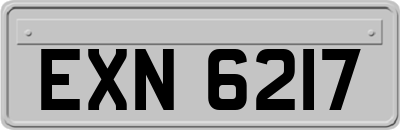 EXN6217