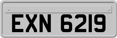 EXN6219