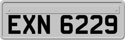 EXN6229