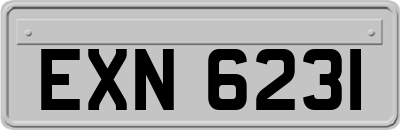 EXN6231