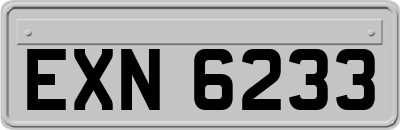 EXN6233