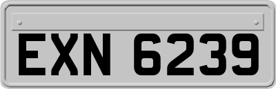 EXN6239