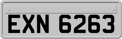 EXN6263