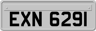 EXN6291