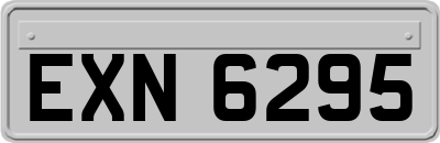EXN6295