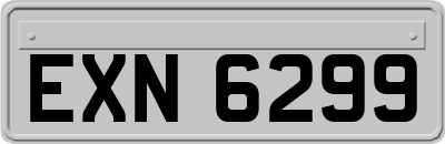 EXN6299