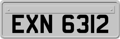 EXN6312