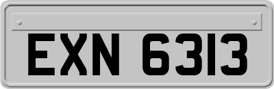 EXN6313