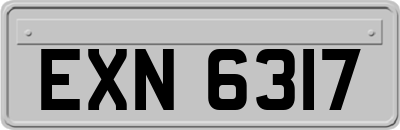 EXN6317