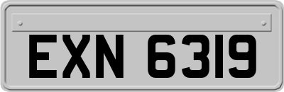 EXN6319