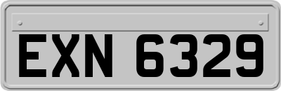EXN6329