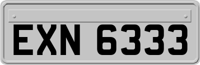 EXN6333