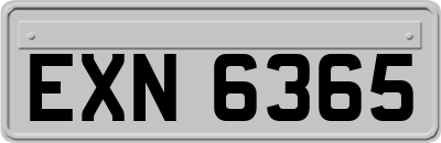 EXN6365