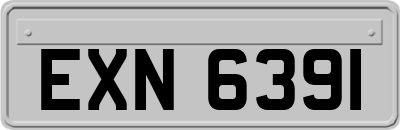 EXN6391