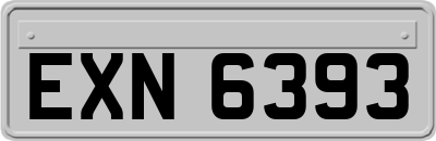 EXN6393