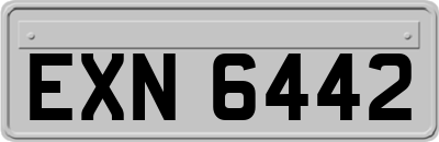 EXN6442