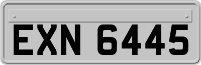 EXN6445
