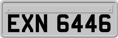EXN6446