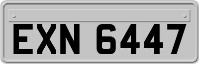 EXN6447