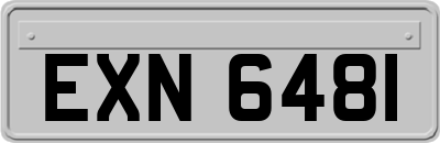 EXN6481