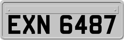 EXN6487