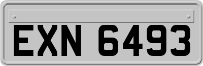 EXN6493