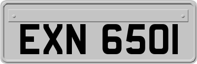 EXN6501