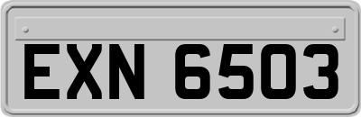 EXN6503
