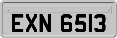 EXN6513