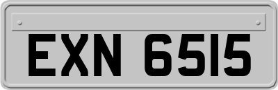 EXN6515