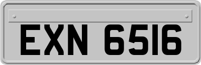 EXN6516