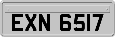 EXN6517